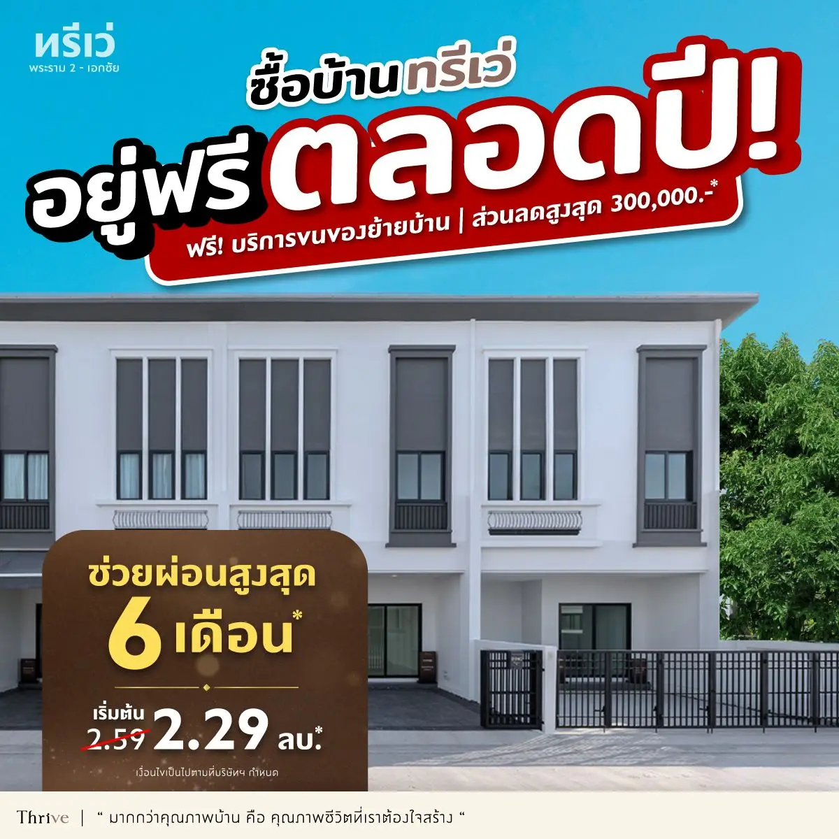 our-promotion